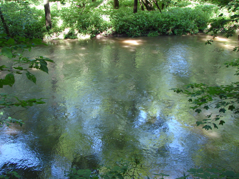 Backbone State Park, Iowa