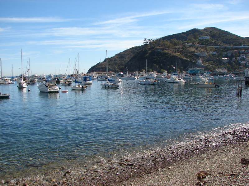DSC02409.JPG