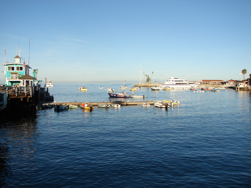 DSC02437.JPG