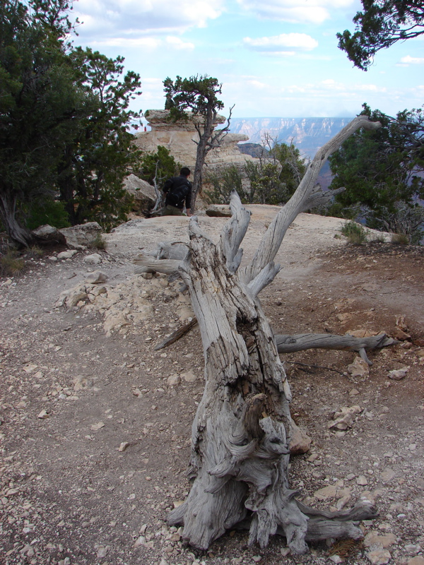 Grand Canyon - North Rim