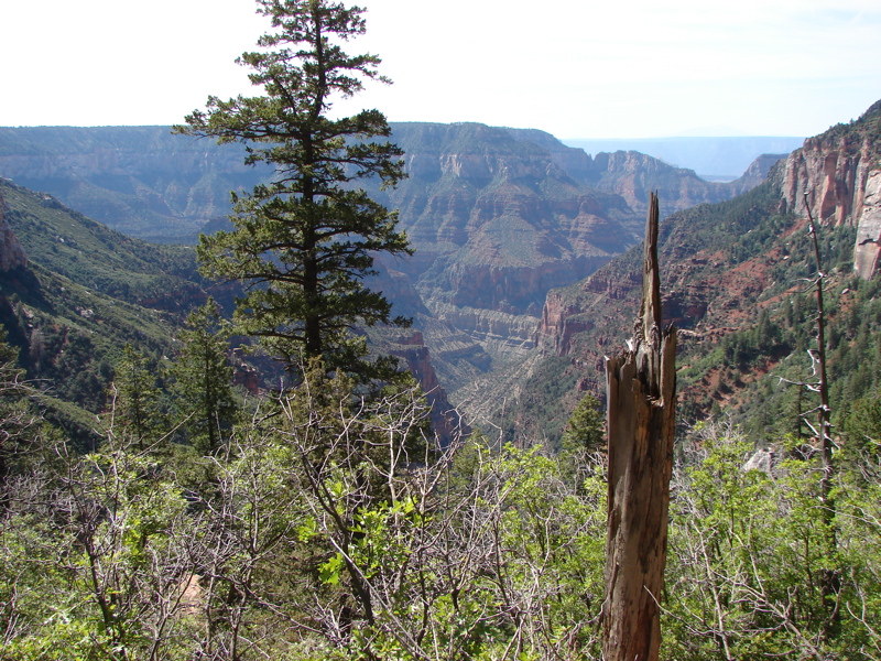 Grand Canyon - North Rim