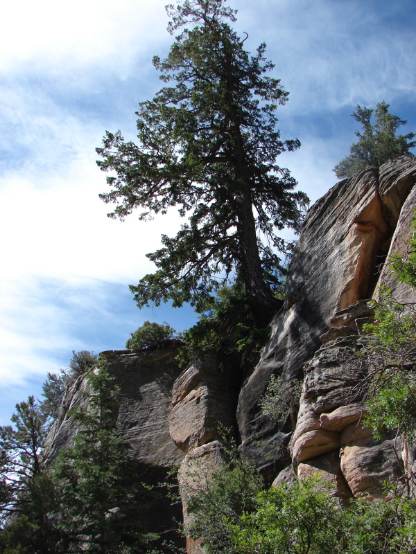 Grand Canyon - North Rim
