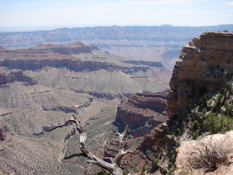 Grand Canyon - North Rim