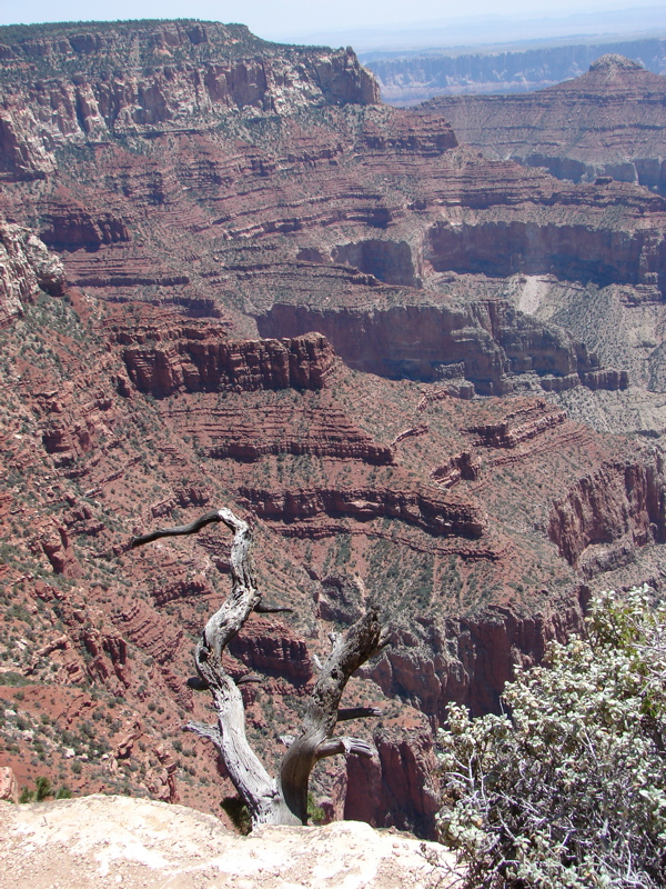 Grand Canyon - North Rim