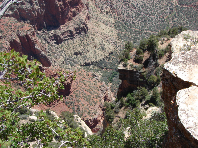 Grand Canyon - North Rim