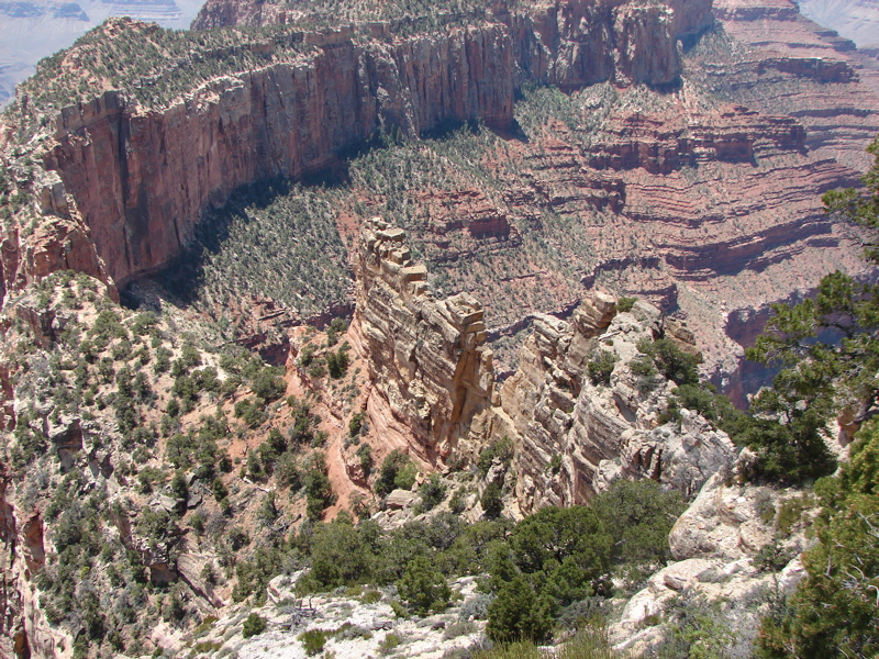 Grand Canyon - North Rim
