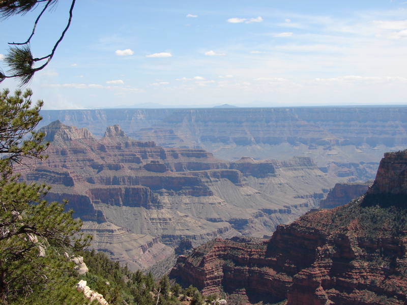 Grand Canyon - North Rim