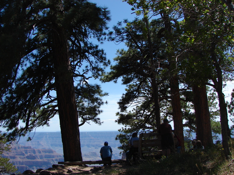 Grand Canyon - North Rim