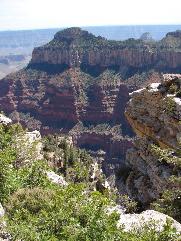 Grand Canyon - North Rim