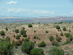 Arizona