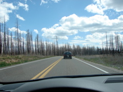 Kaibab National Forest