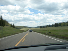 Kaibab National Forest