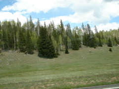 Kaibab National Forest