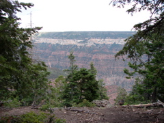 Grand Canyon - North Rim