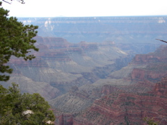 Grand Canyon - North Rim