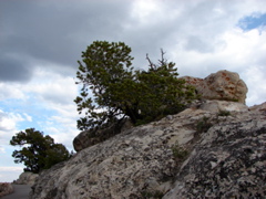 Grand Canyon - North Rim