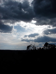 Grand Canyon - North Rim