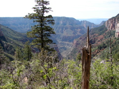 Grand Canyon - North Rim
