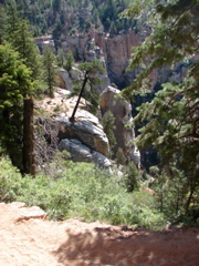 Grand Canyon - North Rim