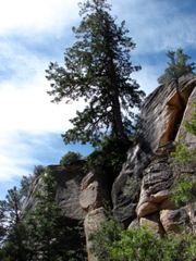 Grand Canyon - North Rim