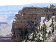Grand Canyon - North Rim