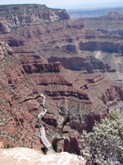 Grand Canyon - North Rim