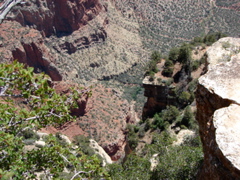 Grand Canyon - North Rim