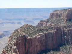 Grand Canyon - North Rim