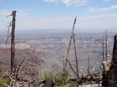 Grand Canyon - North Rim