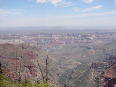 Grand Canyon - North Rim