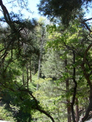 Grand Canyon - North Rim