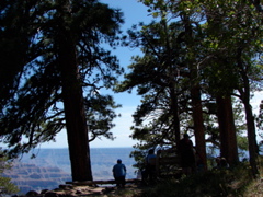 Grand Canyon - North Rim