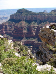 Grand Canyon - North Rim
