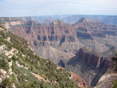 Grand Canyon - North Rim
