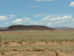 Arizona