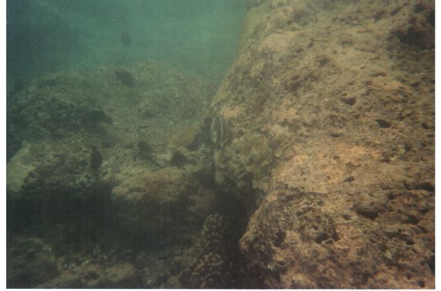 Hanauma Bay