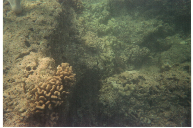Hanauma Bay