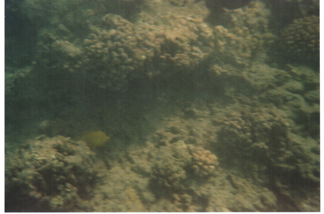 Hanauma Bay