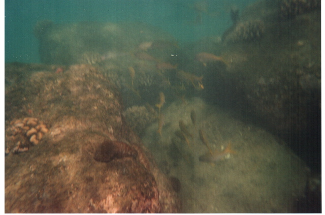 Hanauma Bay
