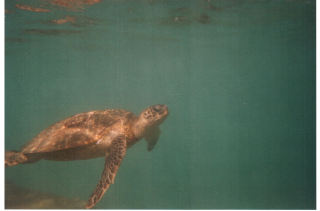 Hanauma Bay