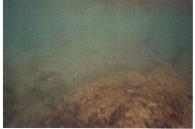 Hanauma Bay