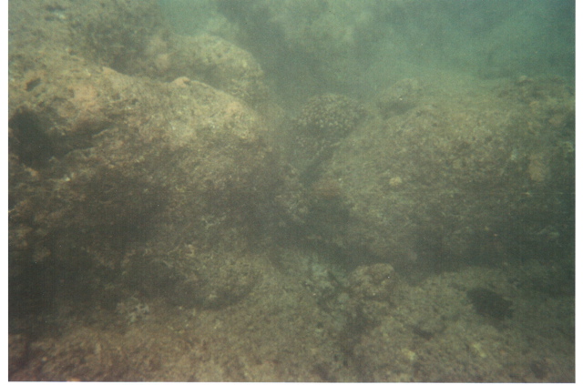 Hanauma Bay