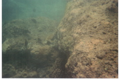 Hanauma Bay