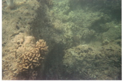 Hanauma Bay