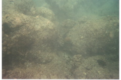 Hanauma Bay