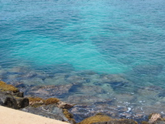 Ala Moana Park