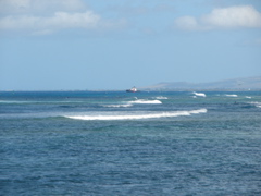 Ala Moana Park