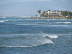 Ala Moana Park