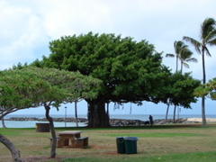 Ala Moana Park