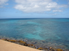 Ala Moana Park
